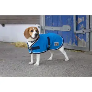 Nyhet Diego & Louna Hundfilt Polyfun