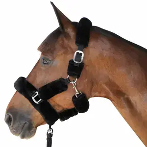 Canter Halster för häst Utförsäljning