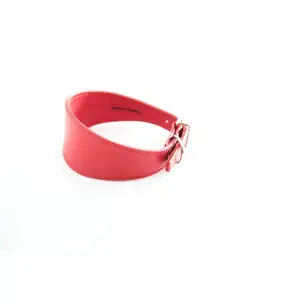 Kundfavorit Sellerie Canine Vendéenne Hundhalsband Levrier