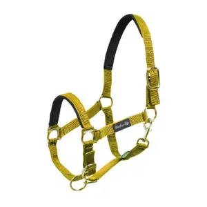 Populärt val Umbria Equitazione Nylon hästgrimma med neoprenförstärkning