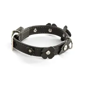 Sellerie Canine Vendéenne Hundhalsband Trefle Populärt val