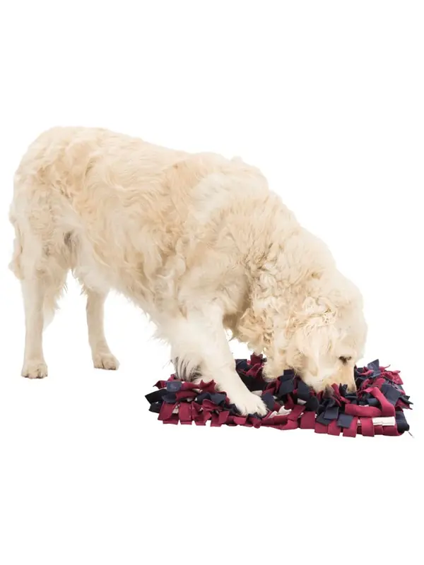 TRIXIE 32037, Hund, Grå, Polyester, 500 mm, 340 mm Snabb frakt