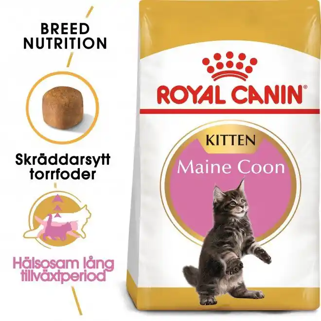 Nedsatt pris Royal Canin Maine Coon Kitten (10 kg)