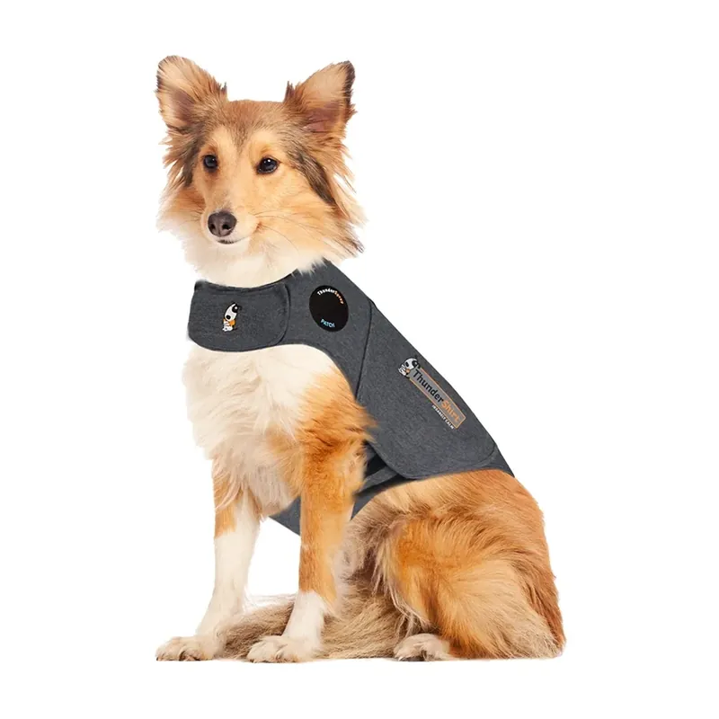 Begränsad tid Thundershirt till Hund (M)