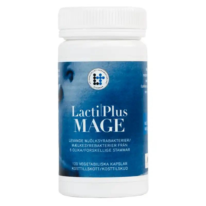 Köp online Lactiplus Mage